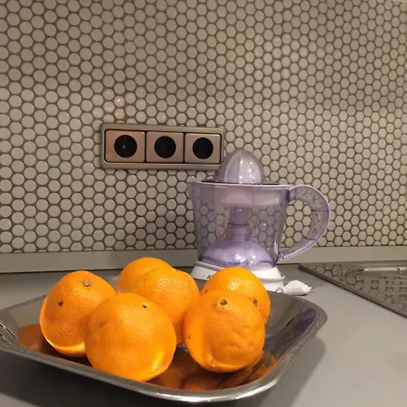 Galerija アパート トゥズラ